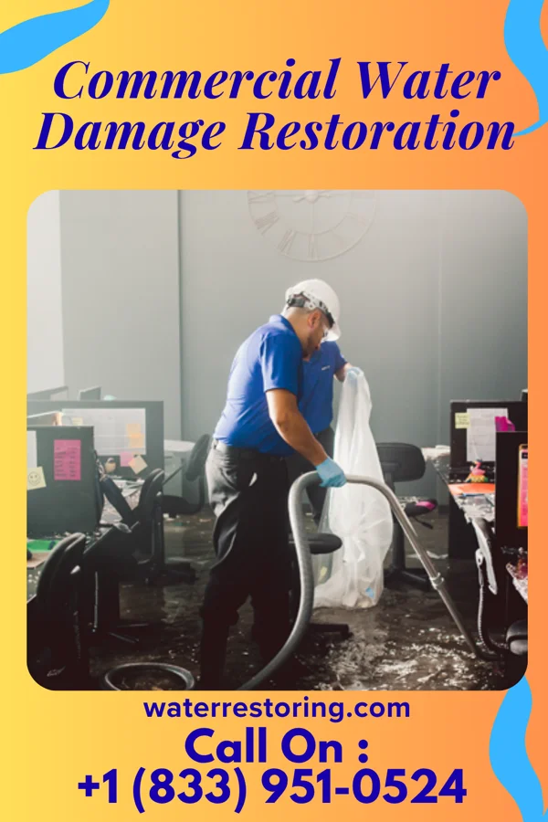 Commercial Water Damage Restoration in Biscay, MN