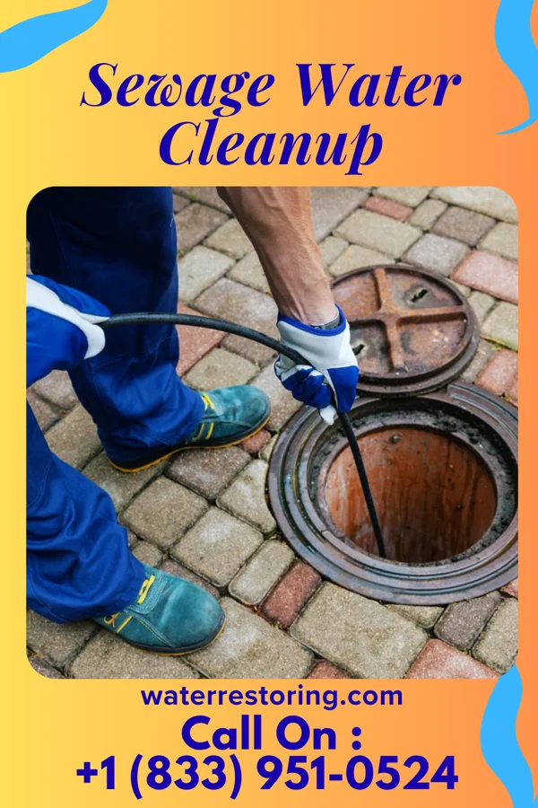 Sewage Water Cleanup in Biscay, MN